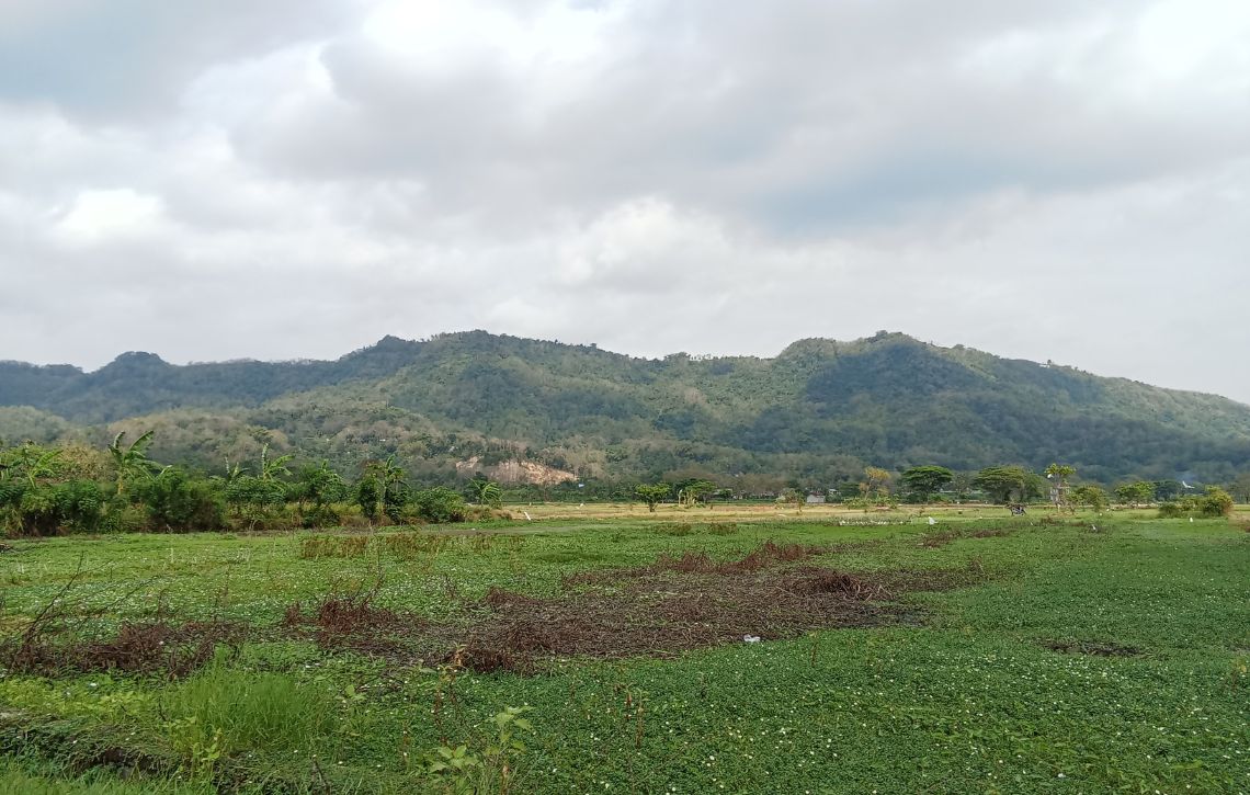 inovacao-produtiva-territorios-de-baixa-densidade