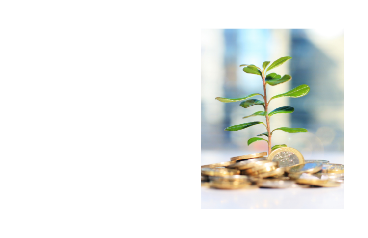 investimento