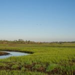 Conservação da Natureza e Biodiversidade | Alentejo 2030