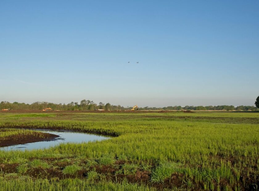 conservacao-da-natureza-alentejo
