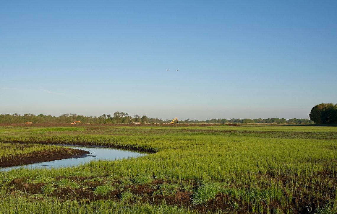 conservacao-da-natureza-alentejo